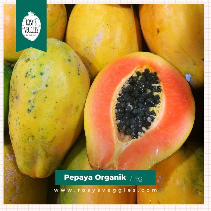 

BnyKBonusBelidiMari- Buah Pepaya Organik Pepaya Masak Pohon 1 kg