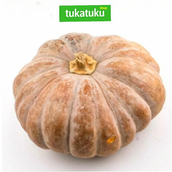 

BnyKBonusBelidiMari- LABU PARANG/WALUH SEGAR (3 - 3,5 KG)