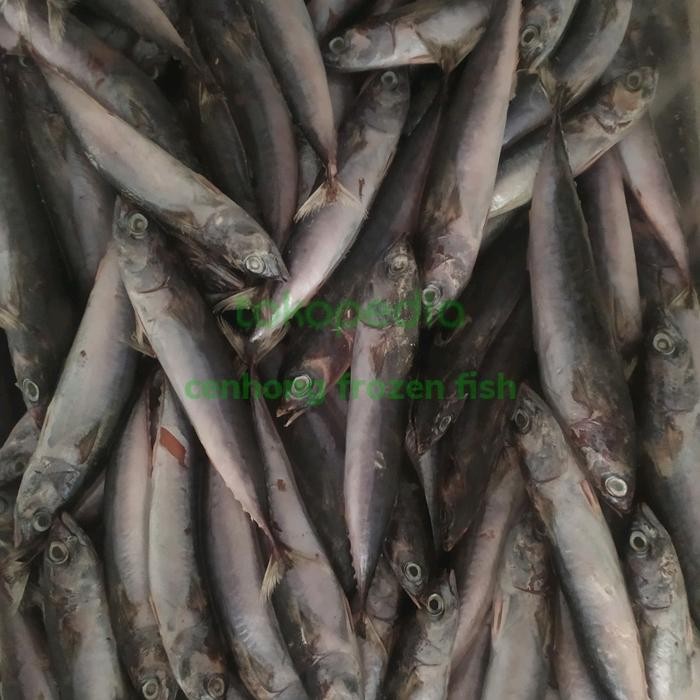 

PastiFreShNya- ikan tongkol deho super mini 30-35 ekor per kg