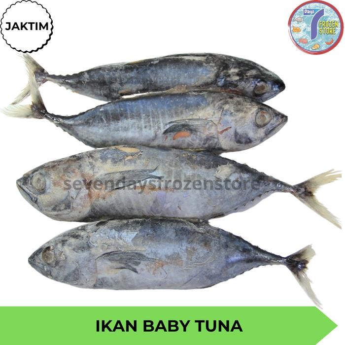 

PastiFreShNya- Ikan Baby Tuna Frozen Beku 1 kg