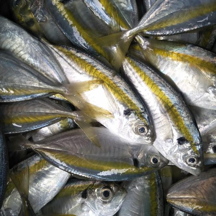 

PastiFreShNya- Ikan Selar Segar 500gr