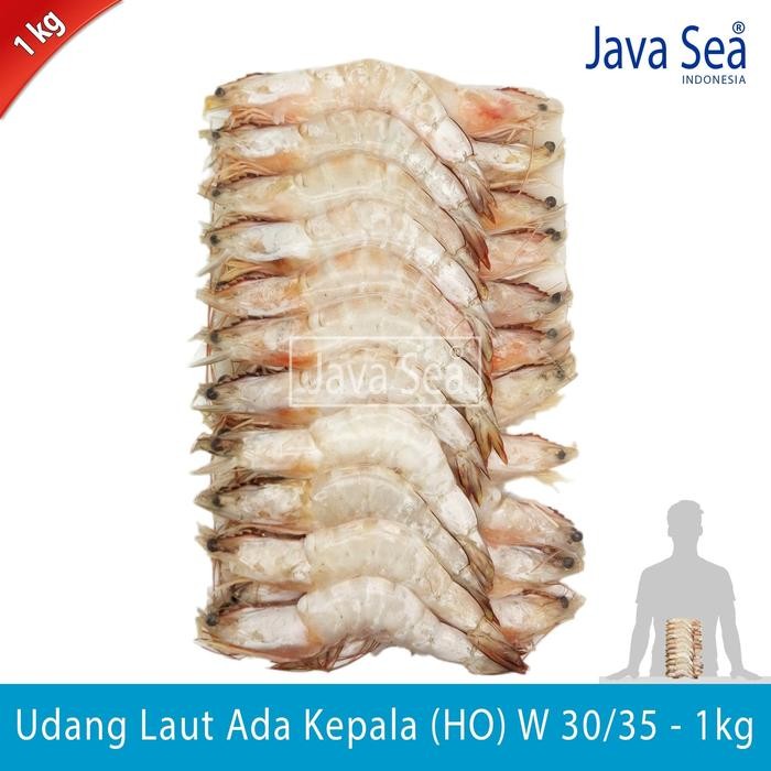 

PastiFreShNya- Udang Laut Utuh Ada Kepala HO W 30/35 pack 1kg Java Sea