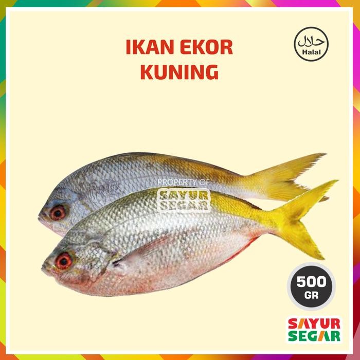 

BnyKBonusBelidiMari- Ikan Ekor Kuning 500g Fresh Halal