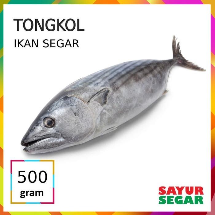 

PastiFreShNya- IKAN TONGKOL [500g]