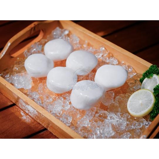 

BnyKBonusBelidiMari- Scallop US / Kerang Kampak / Kerang Simping size Jumbo 250gr