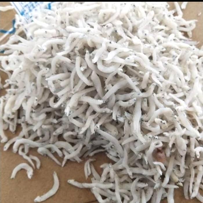 

PastiFreShNya- ikan teri medan/tauge/toge