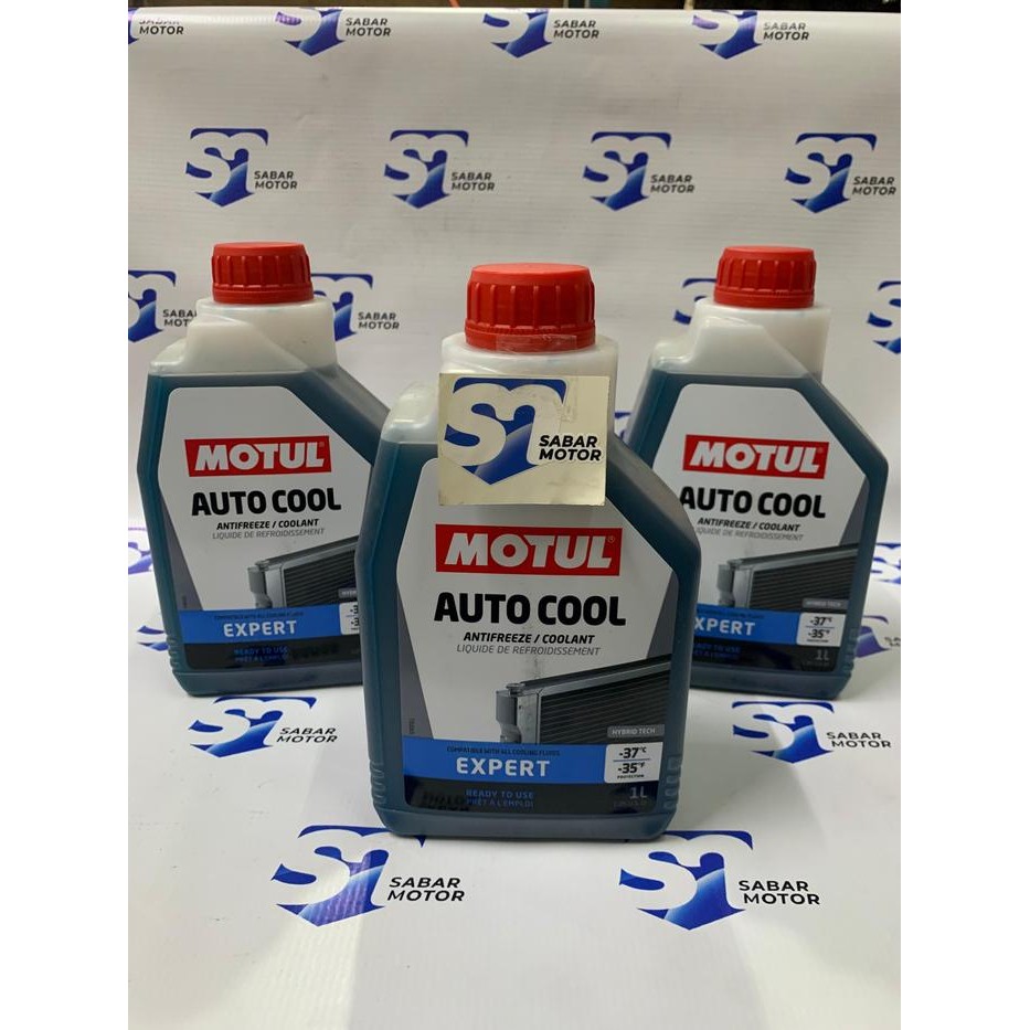AIR RADIATOR RACING Motul INUGEL EXPERT 1000ml Mobil / Motor