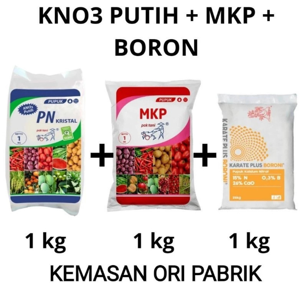 PAKET PUPUK KNO3 PUTIH + MKP PAK TANI + BORON PUPUK GENERATIF ANGGUR DURIAN ALPUKAT JAMBU CABE TOMAT