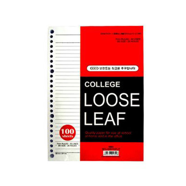 

LOOSE LEAF B5 100