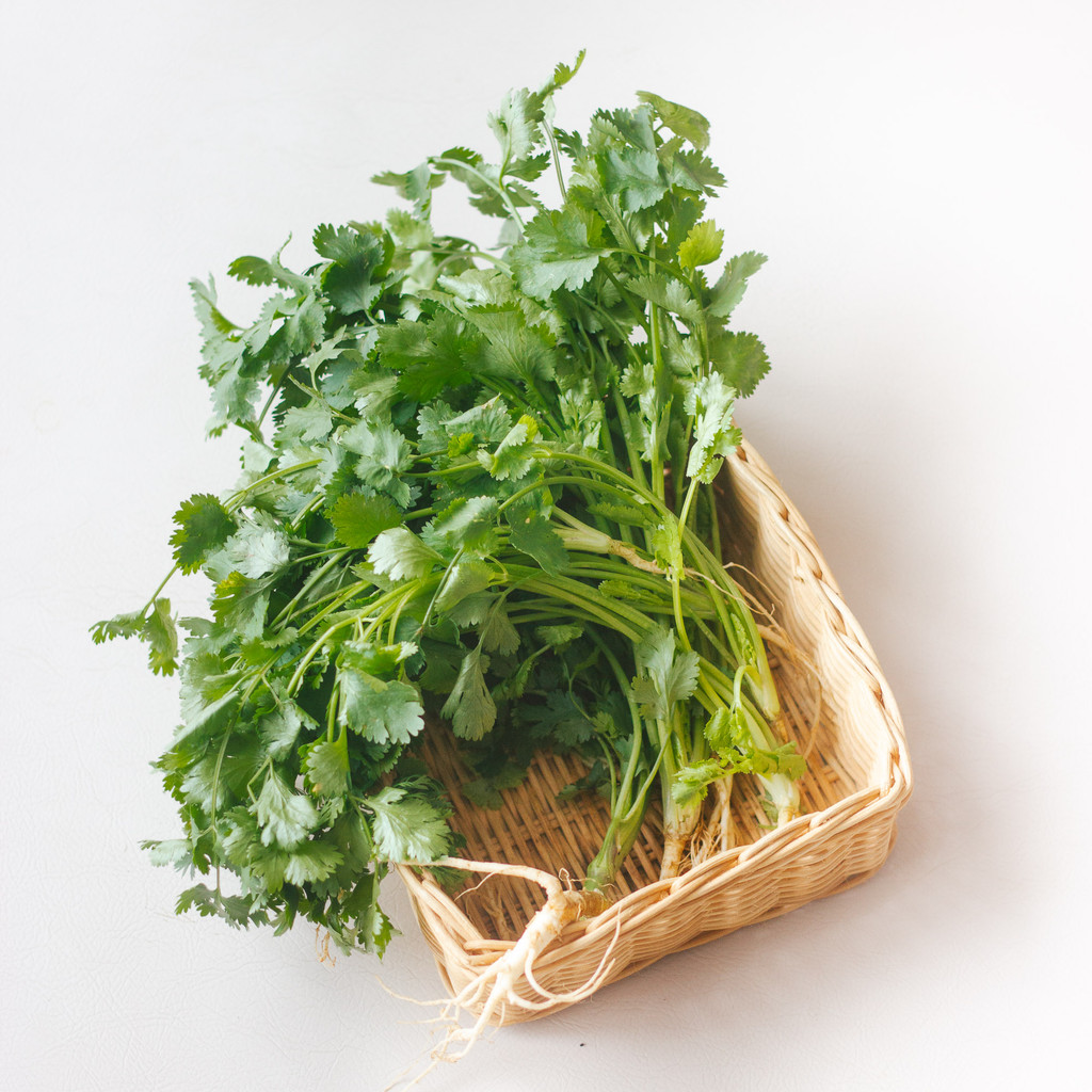 

Daun Ketumbar Organik Organik 100 gram