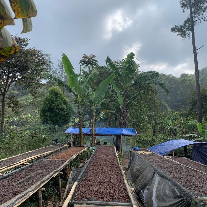 

Java East Manglayang Typica Honey - Specialty Coffee (Biji Kopi/ Roasted Beans)