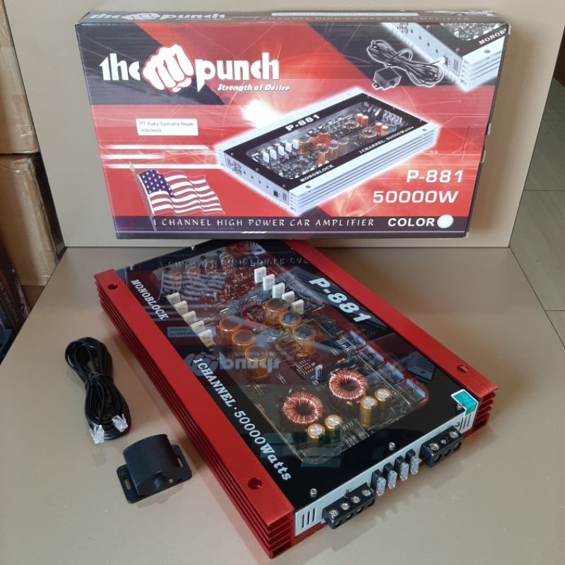 Power Monoblok The PUNCH P 881 MONOBLOCK The PUNCH P-881