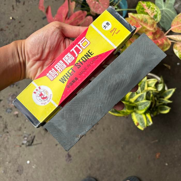 (Expert) Batu Asah Alam Gold Fish panjang