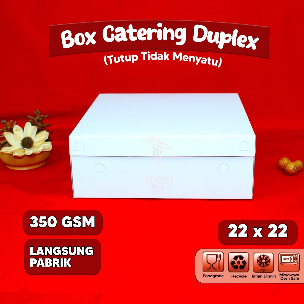 DUS BOX NASI DUPLEX - DUS BOX CATERING - KOTAK NASI KUE MAKANAN- DUS BOX ACARA UK 22 X 22