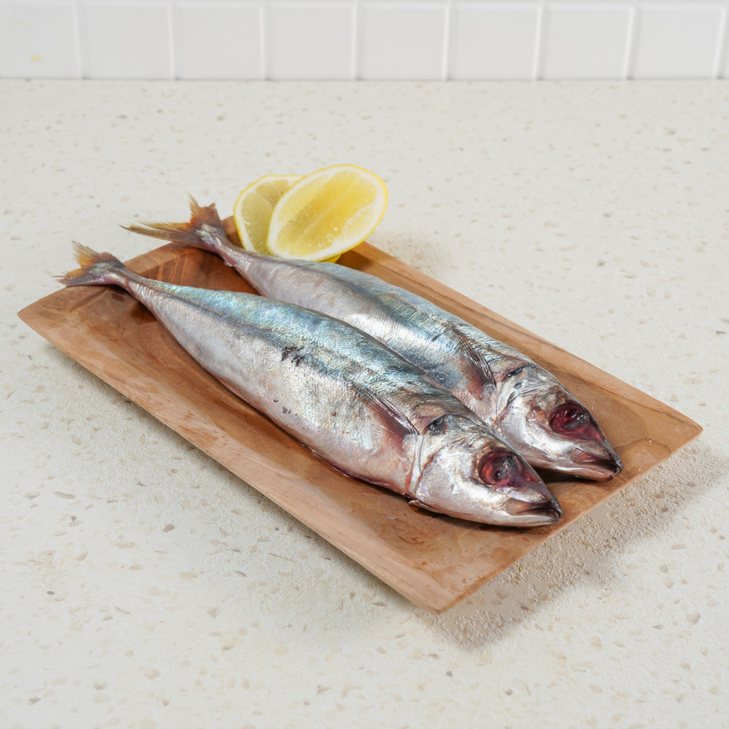 

Ikan Layang Tidak Beku 350 - 450 gram