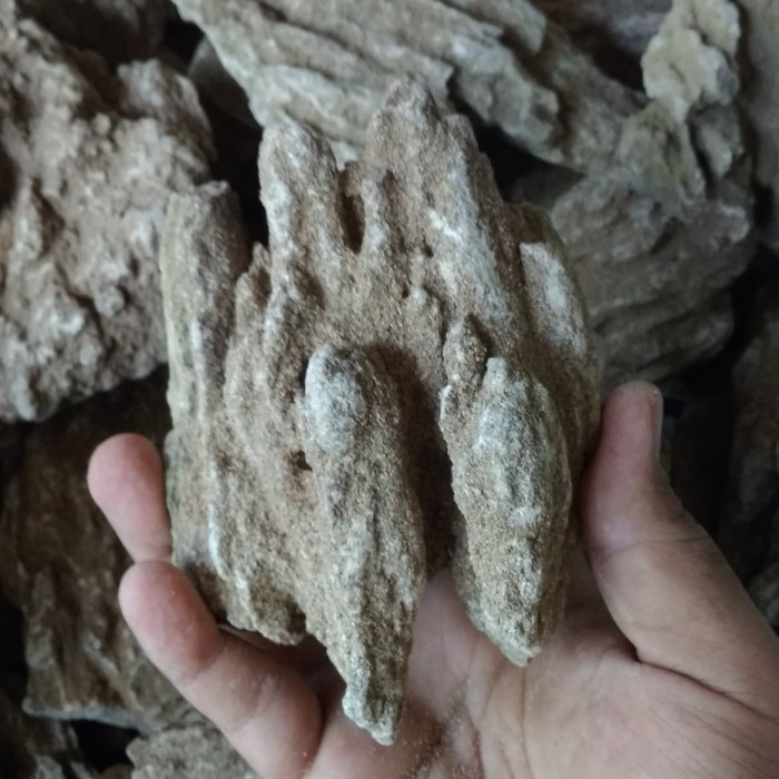 (Expert) Batu Pasir / Sand Stone aquascape