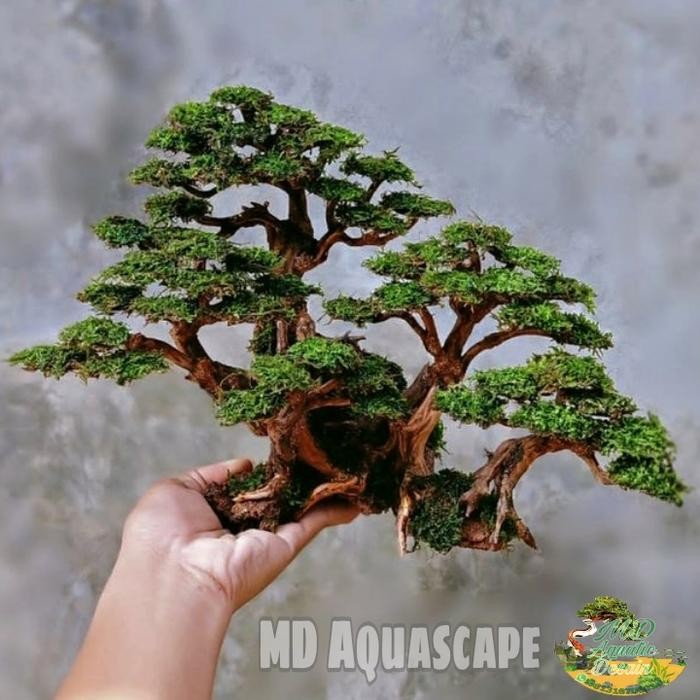 PREMIUM Bonsai Aquascape Jungle Size XL