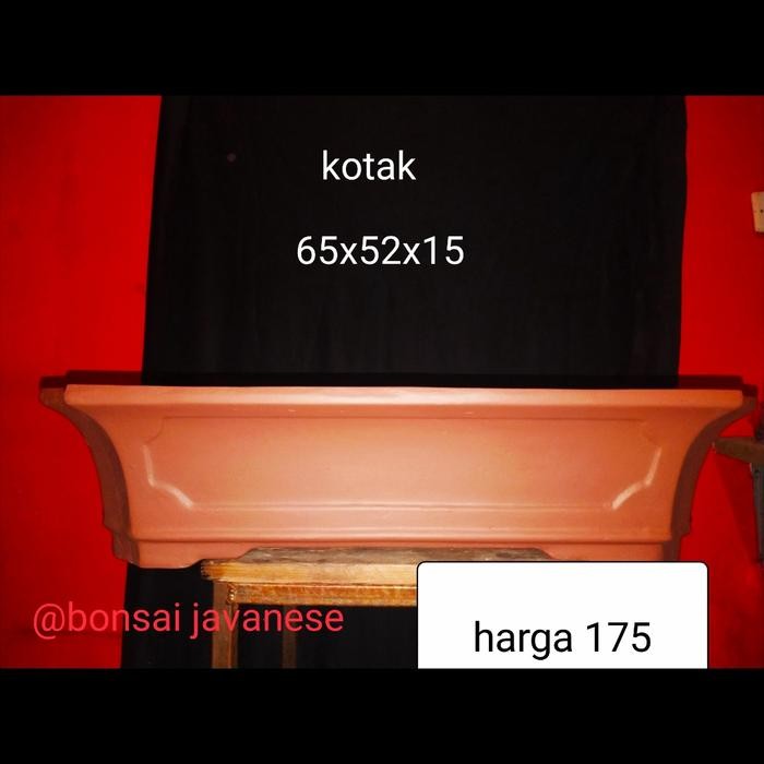 PREMIUM pot bonsai kotak besar