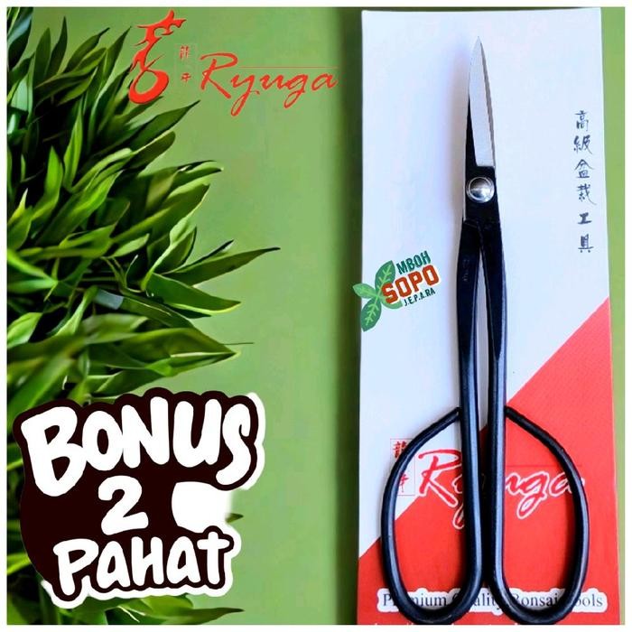 PREMIUM Alat Bonsai dan Berkebun, Gunting Pruning Ryuga Carbon, RC 02
