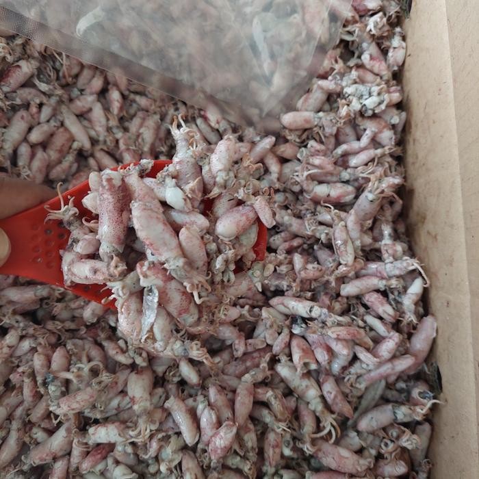 

cumi baby asin 500 gram