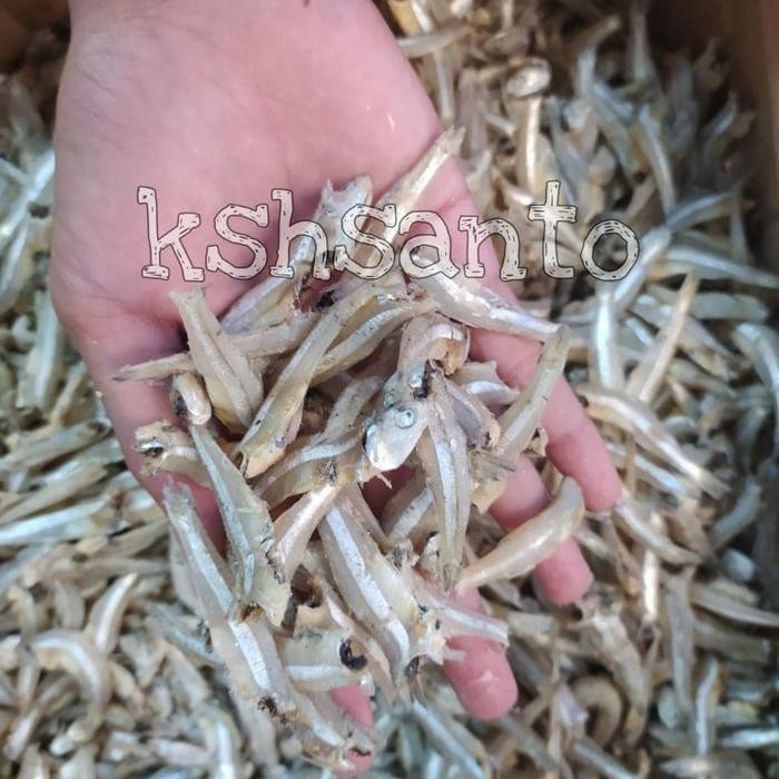 

Terlaris- Ikan Asin Teri Jengki Putih 1Kg