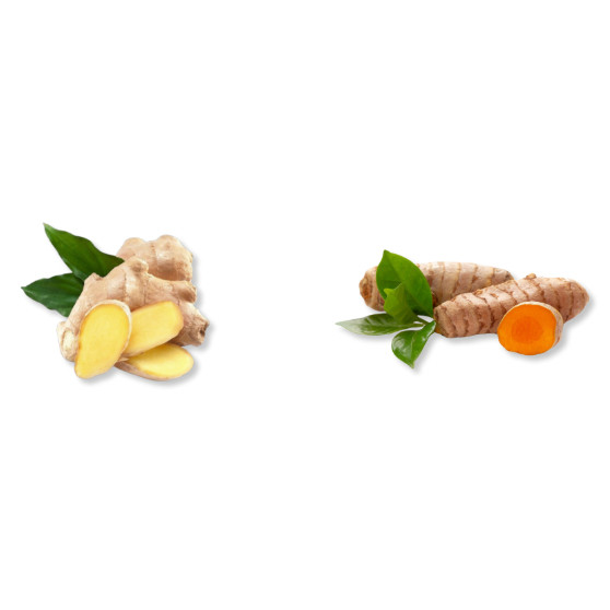 

Paket Jahe Kunyit 1 pack / Ginger & Turmeric Set