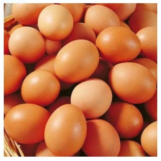 

(Expert) Telur Ayam Negeri 1 KG Telor Negri Fresh Bandung Cimahi