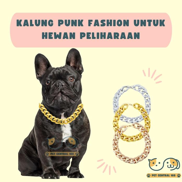 Aksesoris Kalung Hewan Peliharaan Anjing Kucing Fashion Kalung Rantai Emas