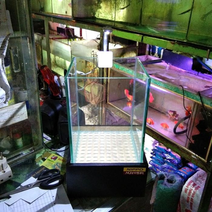 PREMIUM aquarium soliter cupang full set meja dan lampu led