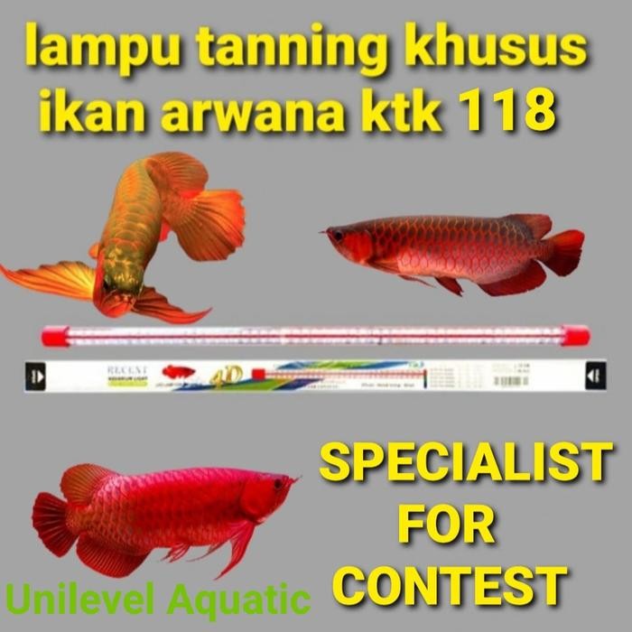 PREMIUM lampu tanning super megah 4D recent KTK 118 terlaris