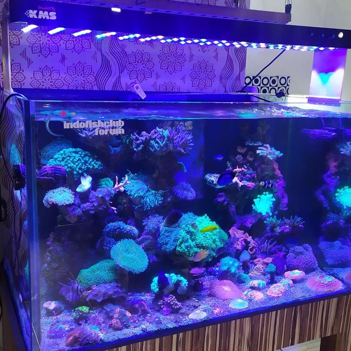 PREMIUM Lampu Aquarium - KMS Led 60 watt