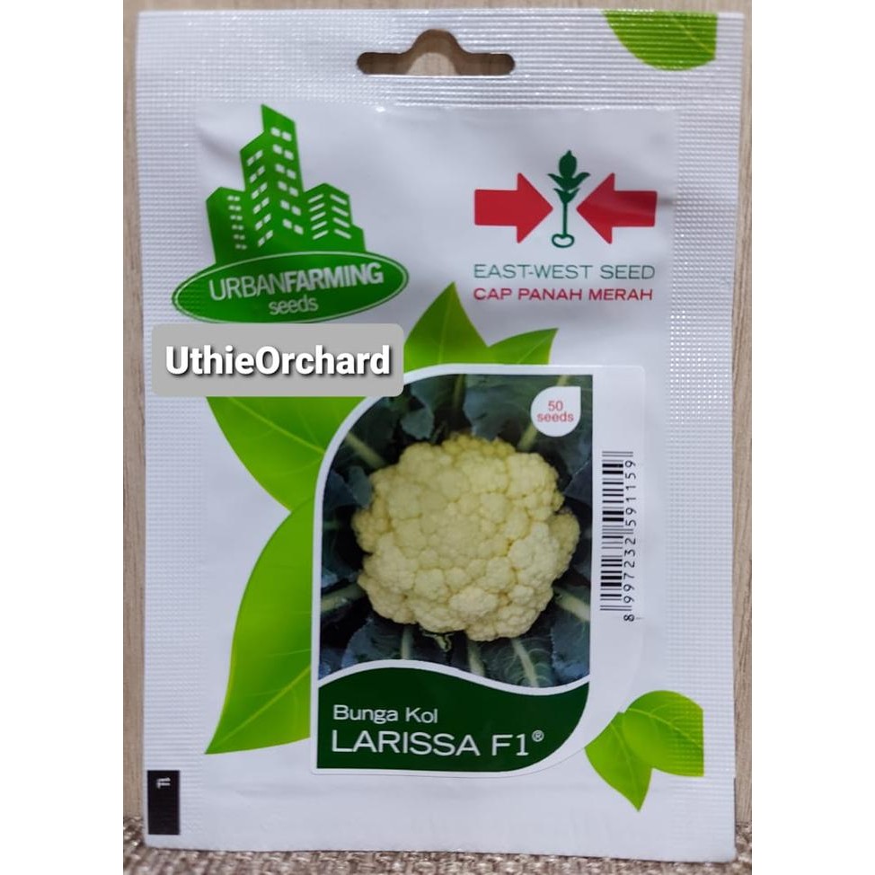 New Benih Panah Merah - Bunga Kol Larissa F1