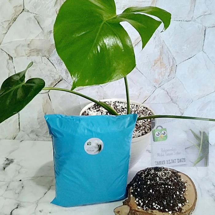 New Media Tanam Monstera Media Tanam Organik Khusus Monstera