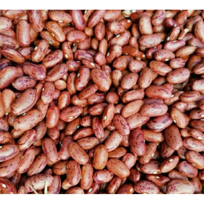 

KACANG JOGLO / KACANG MERAH 250GRAM