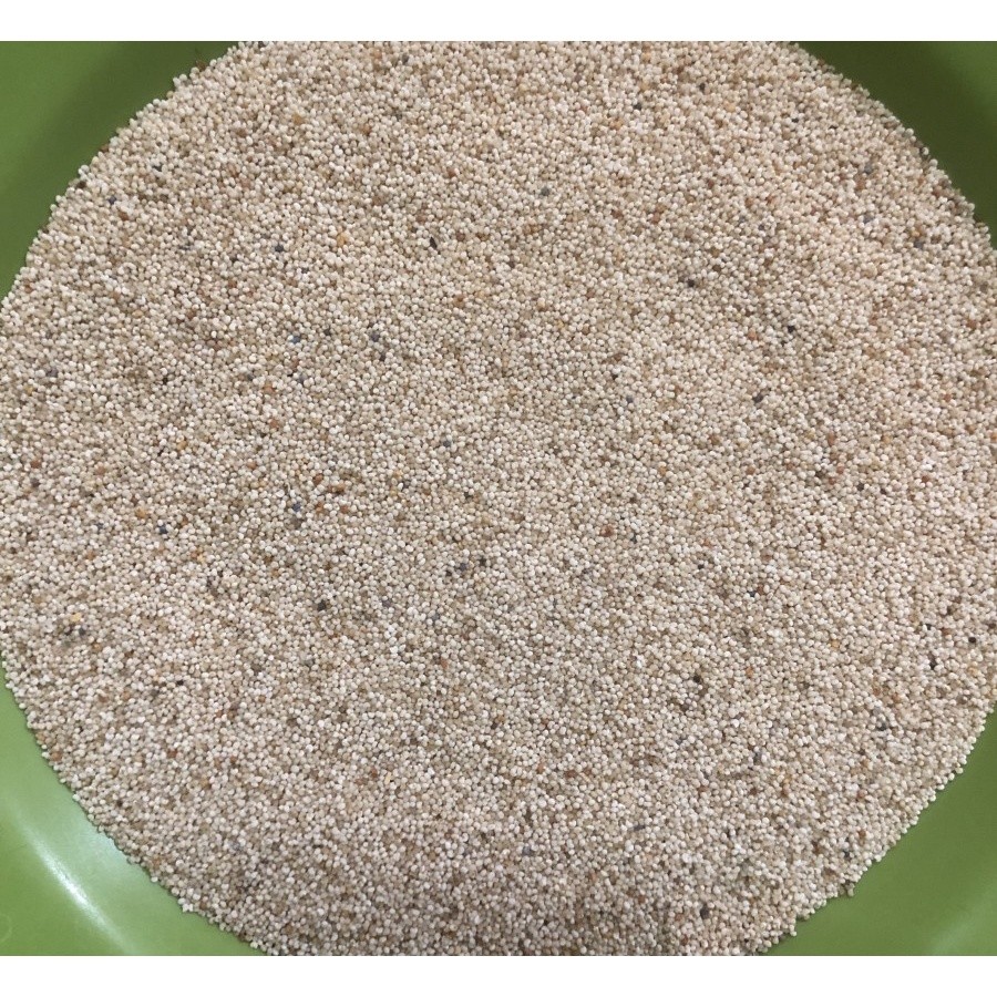 

Bumbu Kas - Kas 1 Kg