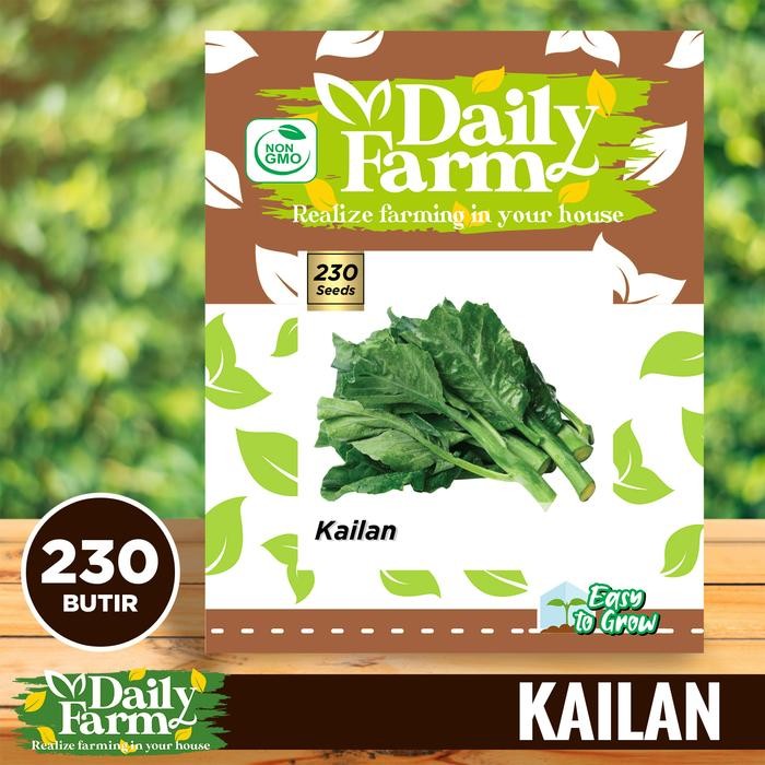 Benih Sayur Kailan Import - Bibit Kailan - Daily Farm (AAA)