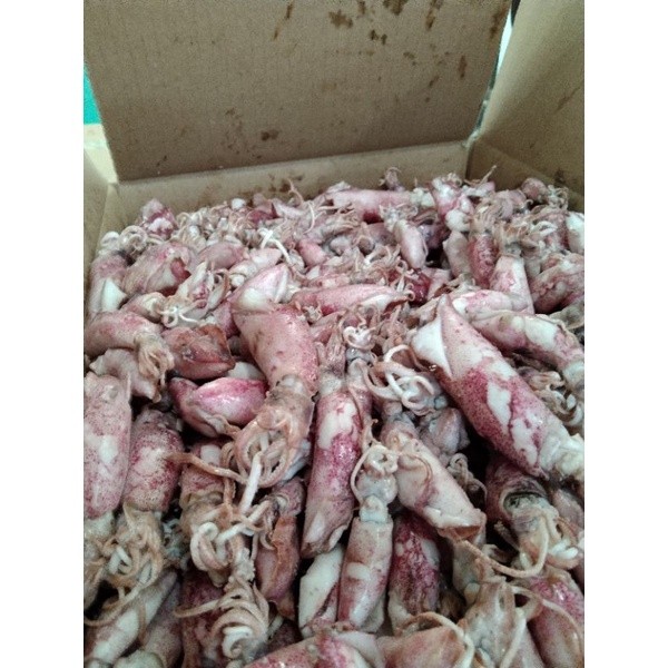 

Cumi asin 500gr/Cumi asin rebus/Cumi asin size 4sampai 7 cm