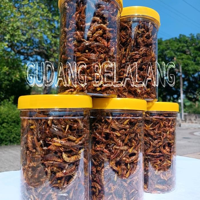 

JTTOP" BELALANG GORENG KECIL WALANG GORENG UTIS (PADI) KEMASAN TOPLES SOSIS BERAT 210 GRAM 4 VARIAN