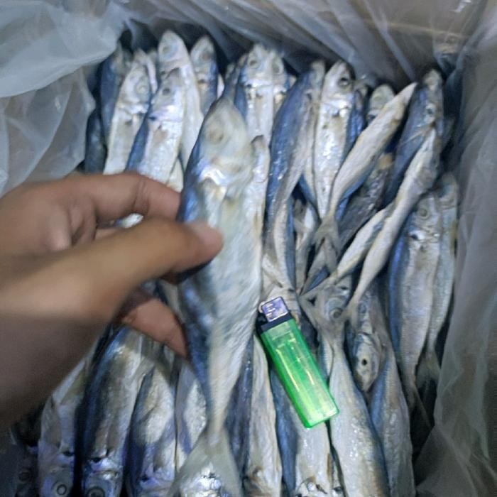 

JTTOP" IKAN ASIN PEDA LAYANG 500GR