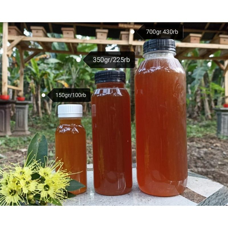 

Restokobar Madu Klanceng Lebah Trigona Madu Kele Kele Asli