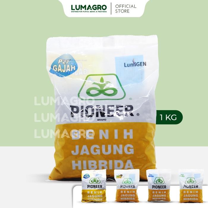

Terlaris Benih Jagung Pioneer P40 Famili P27 Lumigen Gajah P21 Bison P32 Singa 1Kg Bibit Unggul