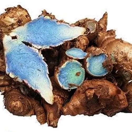 

Terlaris Kunyit Hitam/Temu Ireng Segar Asli 1 Kg Bisa Cod Herbal