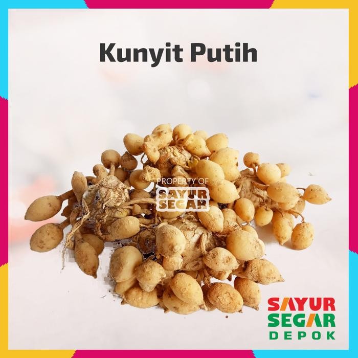 

Terlaris Kunyit Putih