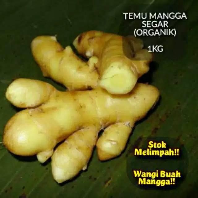 

Terlaris Temu Mangga/Kunyit Mangga 1Kg Basah Segar Organik