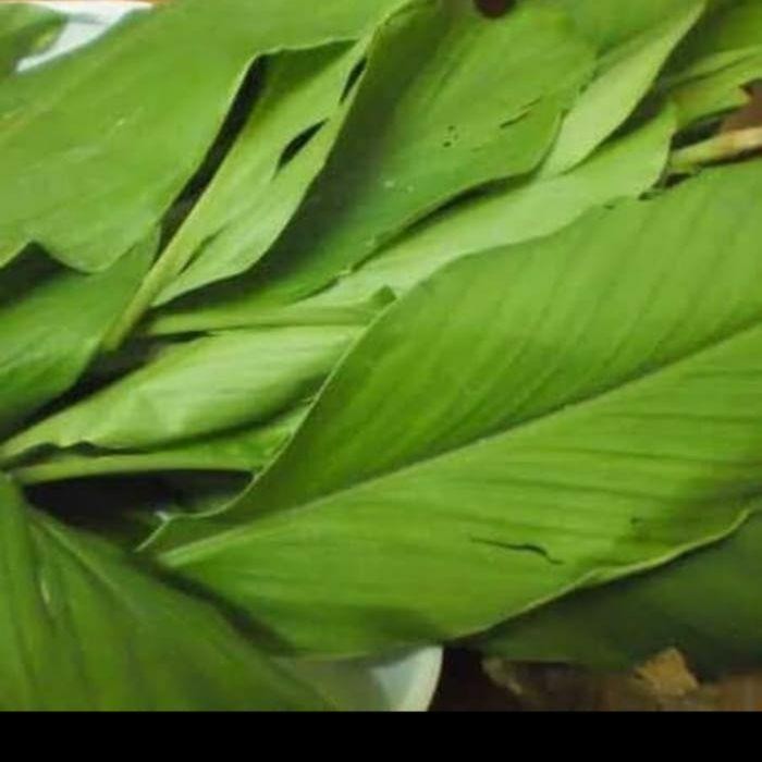 

Terlaris Daun Kunyit Segar