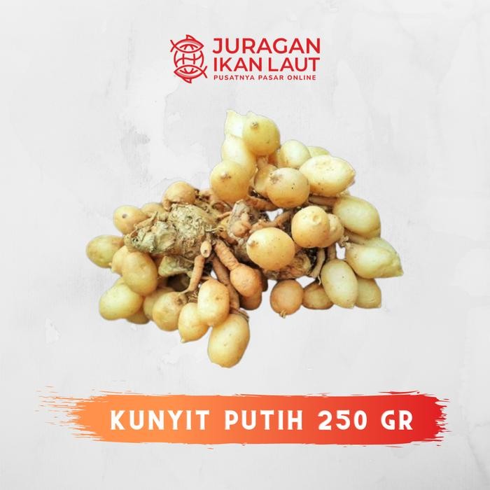 

Terlaris Kunyit Putih Berkualitas - 250 Gram