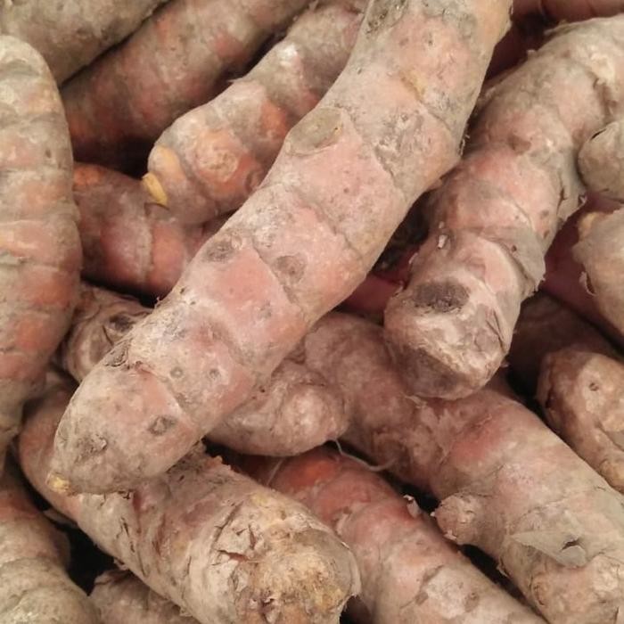 

Terlaris Kunyit Besar