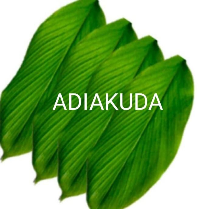 

Terlaris Daun Kunyit