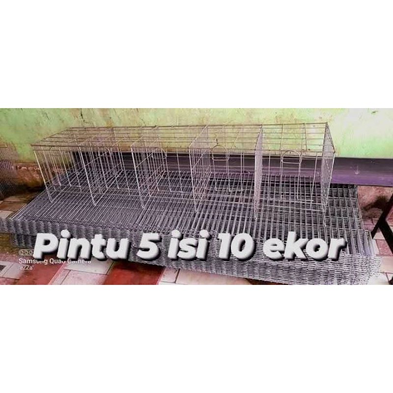 kandang batrai khusus untuk ayam petelur 5 Pintu Isi 10 ekor