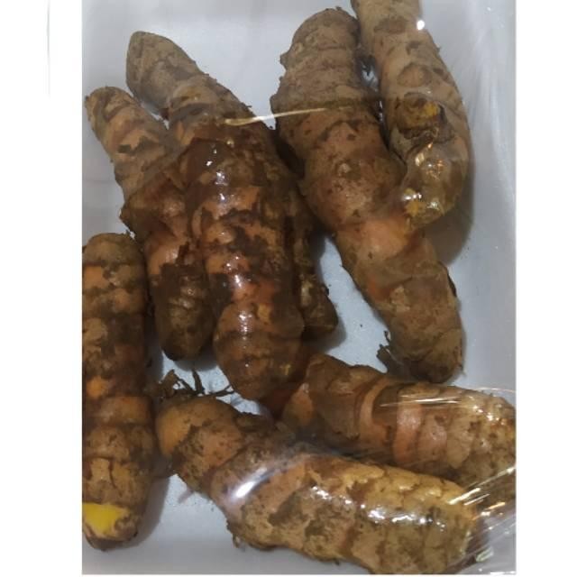 

Terlaris Kunyit Segar / 1 Kilogram